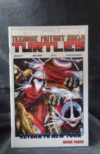 Teenage Mutant Ninja Turtles #21 (1989)