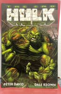 Hulk: The End (2002)