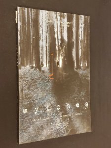WYTCHES TPB SCOTT SNYDER FIRST PRINTING