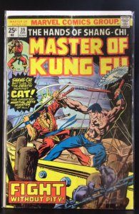 Master of Kung Fu #39 (1976)