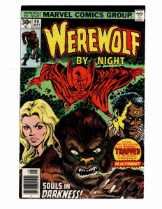 Werewolf by Night #40 (1976)  BROTHER VOODOO Appearance / ID#161