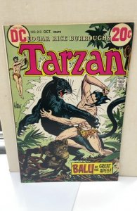 Edgar Rice Burroughs' Tarzan #213 (1972)