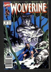Wolverine #25 (1991)