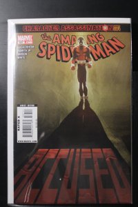 The Amazing Spider-Man #587 (2009)