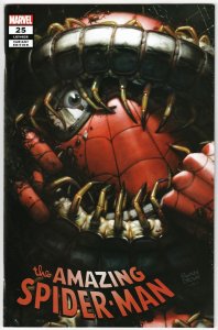 Amazing Spider-Man #25 Ryan Brown Exclusive Variant (Marvel, 2019) VF/NM