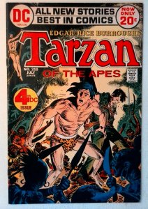 Tarzan #210 DC 1972 FN+ Bronze Age Comic Book 1st Print