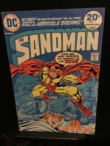 The Sandman #1 (1975) Jack Kirby high-grade first issue! VF/NM