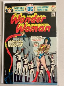 Wonder Woman #219 bondage cover 4.5 (1975)