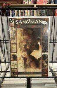 The Sandman #3 (1989)