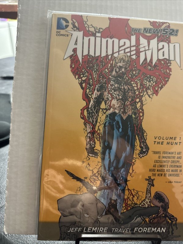 Animal Man #1 (DC Comics, July 2012)
