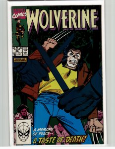 Wolverine #26 (1990) Wolverine