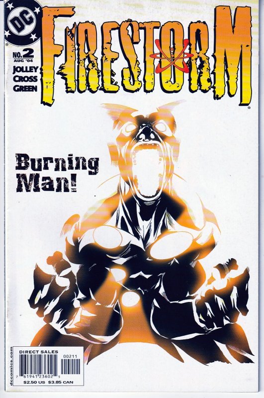 Firestorm #2 (2004)