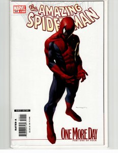 The Amazing Spider-Man #544 Variant Cover (2007)