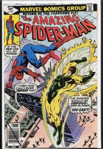 The Amazing Spider-Man #193 (1979) Spider-Man