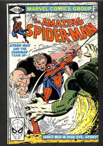 The Amazing Spider-Man #217 (1981)