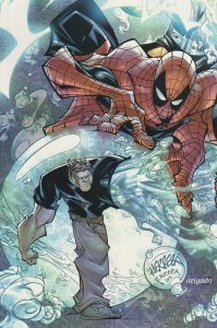 Peter Parker: Spider-Man #51 (2003)