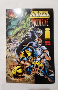 Badrock / Wolverine (1996)