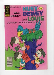 Huey, Dewey and Louie Junior Woodchucks #46 (Sep 1977, Western) - Very Fine