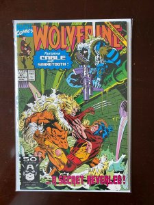 Wolverine Vs Sabretooth #41 8.0VF (1991) 