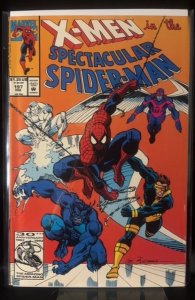 The Spectacular Spider-Man #197 (1993)