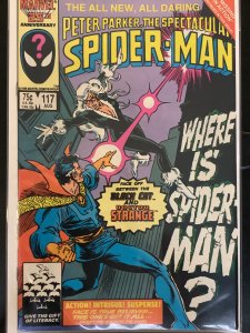 The Spectacular Spider-Man #117 (1986)