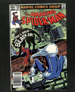 Amazing Spider-Man #226 Newsstand Variant Black Cat!