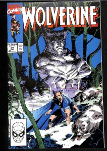 Wolverine #25 (1990)