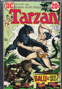 Edgar Rice Burroughs' Tarzan #213 (1972)