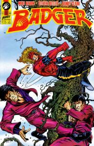 Badger #66 VF ; First | Mike Baron Steven Butler