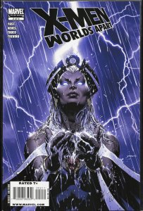 X-Men: Worlds Apart #2 (2009) Storm