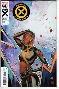 RISE OF THE POWERS OF X #2 DAVID MACK STORM VAR