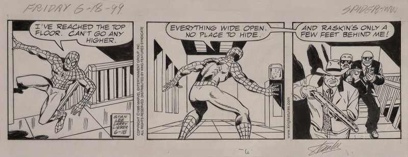 Amazing Spider-Man Comic Strip Original Art Signed Stan Lee COA 6/18/99