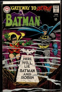 Batman #202 (1968) Batman and Robin