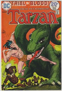 Tarzan #228 (Feb 1974, DC), VG-FN condition (5.0)