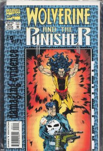 Wolverine and the Punisher: Damaging Evidence #2 (1993) Punisher