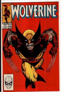 Wolverine #17 (1989) Wolverine
