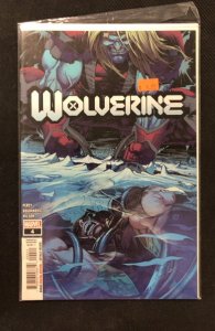 Wolverine #4 (2020)