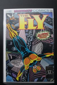 The Fly #1 (1991)