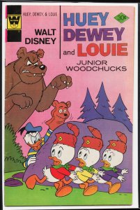 Walt Disney Huey, Dewey and Louie Junior Woodchucks #40 Whitman Cover (1976) ...