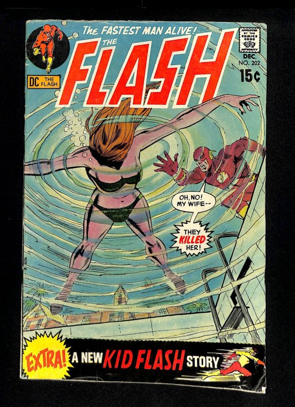 Flash #202