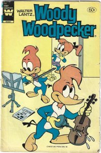 Walter Lantz Woody Woodpecker #201