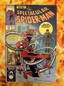 The Spectacular Spider-Man #173 Direct Edition (1991) - VF/NM