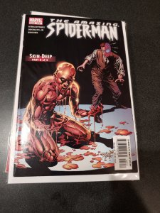 The Amazing Spider-Man #516 (2005)