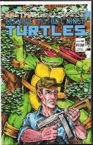 Teenage Mutant Ninja Turtles #12 (1987)