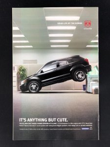 American Virgin #5 (2006)