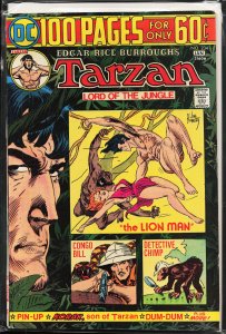 Edgar Rice Burroughs' Tarzan #234 (1975)