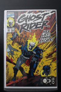 Ghost Rider #11 (1991)