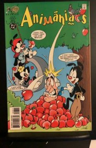Animaniacs #8 (1995)