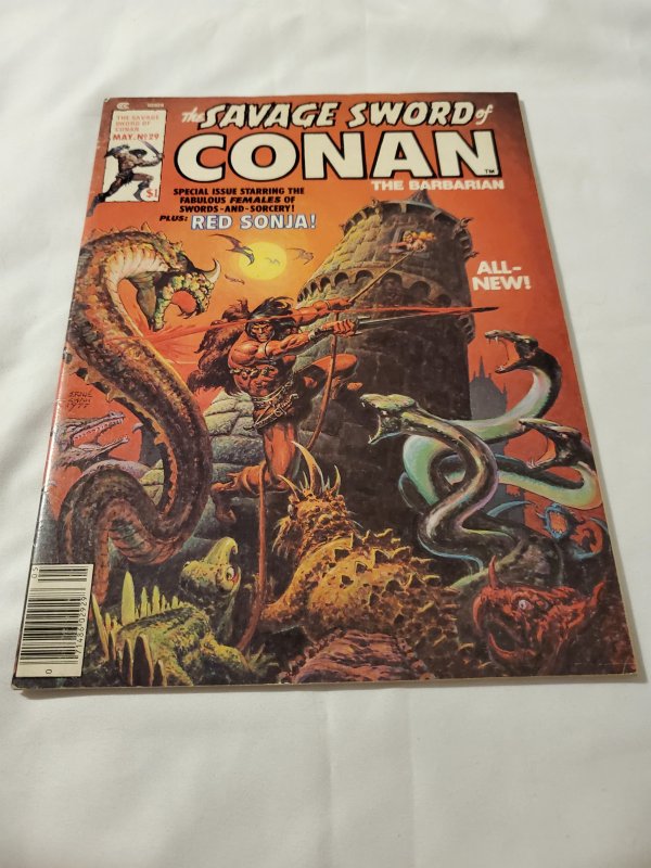 Savage Sword of Conan 29 VF