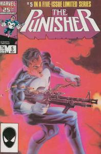 Punisher (1st Series) #5 VF; Marvel | save on shipping - details inside